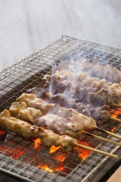 Oldenhof Konro Grill Diatomite Japanse Barbecue B-10 54 X 23 X 20 Cm -Big Green Egg Verkoop shutterstock 556753543 1